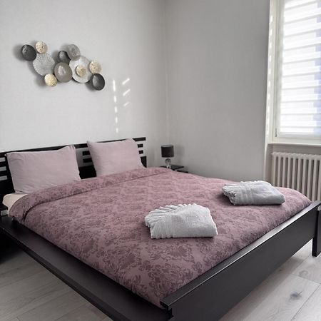 Appartement Des 3 Pays. 2 Mn De Bale+ Free Parking Saint-Louis  Exterior photo