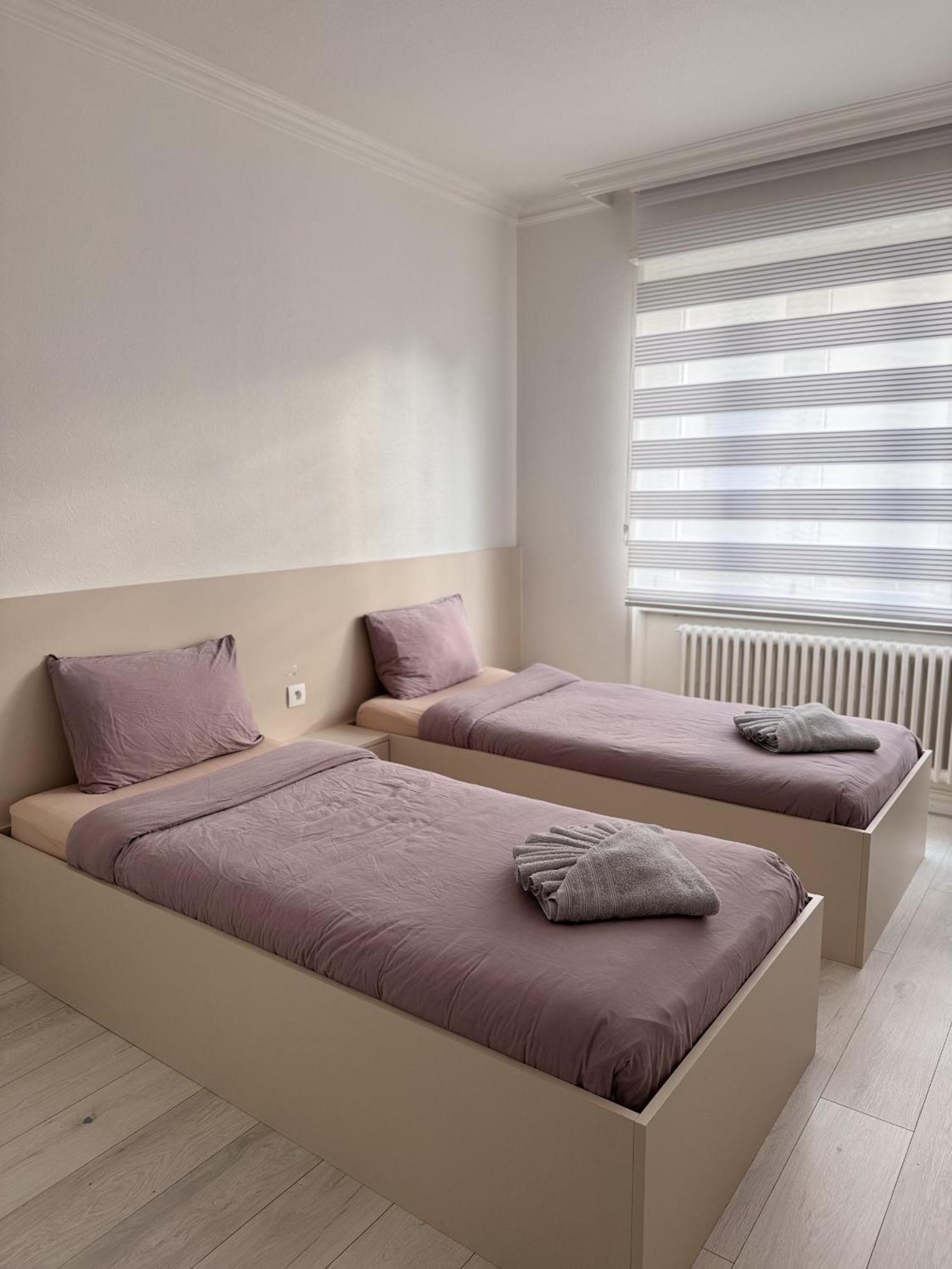 Appartement Des 3 Pays. 2 Mn De Bale+ Free Parking Saint-Louis  Exterior photo
