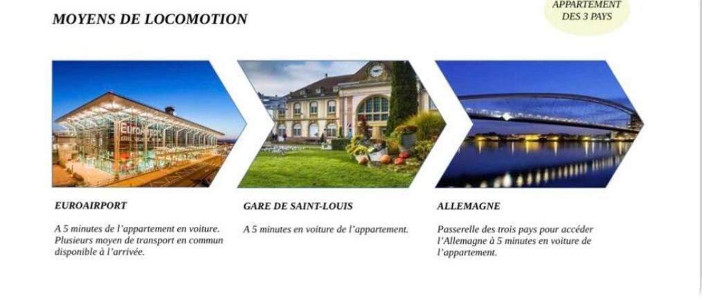 Appartement Des 3 Pays. 2 Mn De Bale+ Free Parking Saint-Louis  Exterior photo