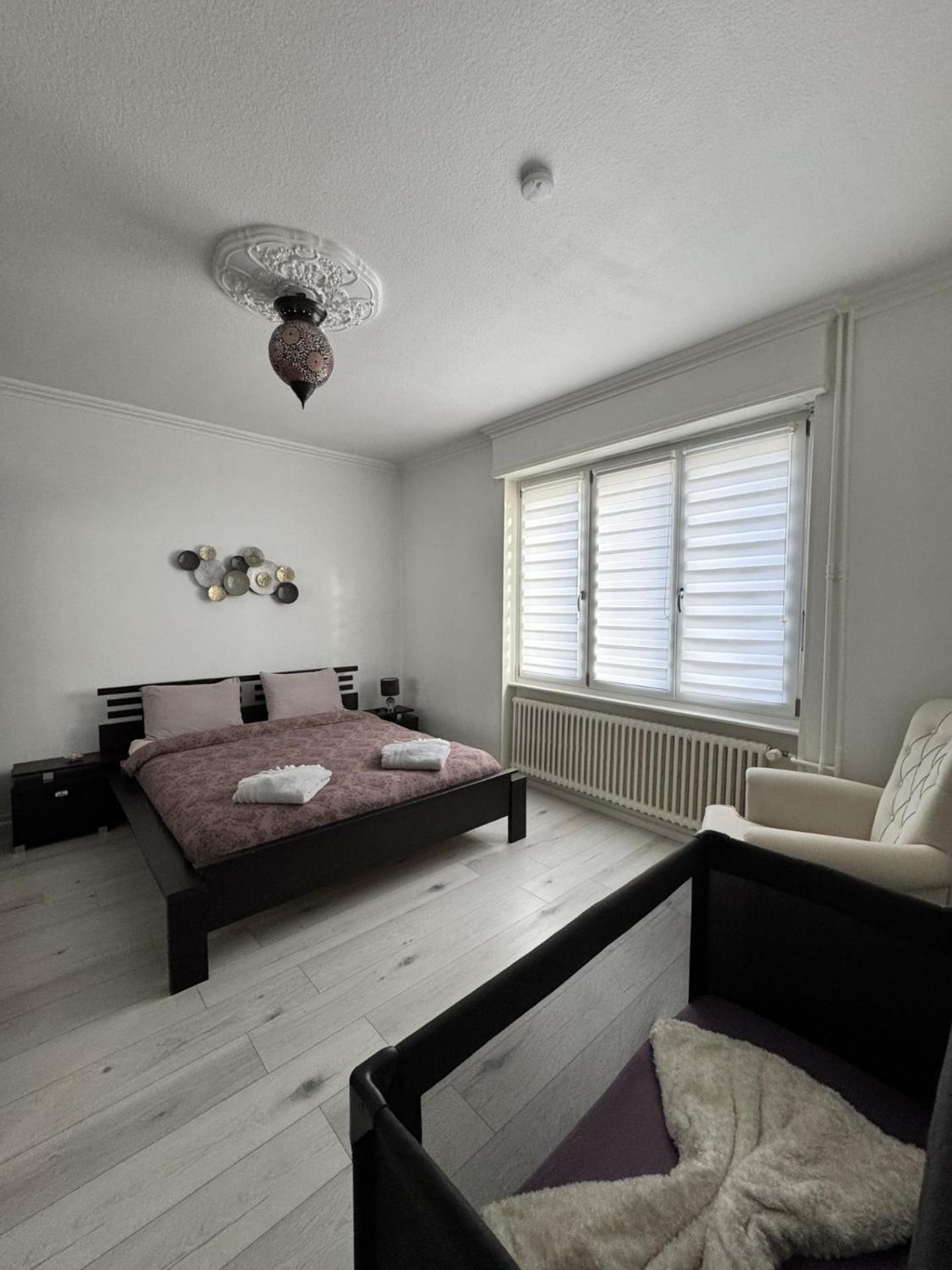 Appartement Des 3 Pays. 2 Mn De Bale+ Free Parking Saint-Louis  Exterior photo