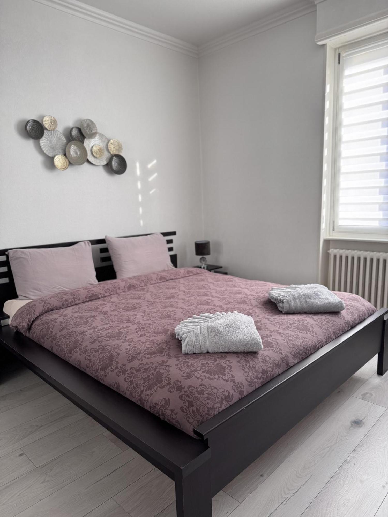 Appartement Des 3 Pays. 2 Mn De Bale+ Free Parking Saint-Louis  Exterior photo